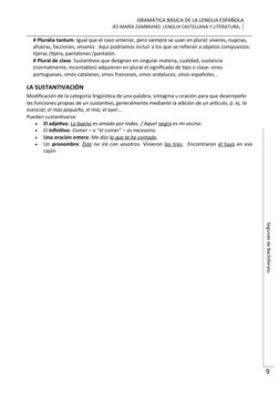 GRAMÁTICA BÁSICA DE LA LENGUA ESPAÑOLA