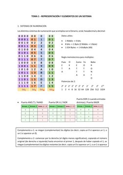 TEMA 1 - REPRESENTACIÓN Y ELEMENTOS DE UN SISTEMA
1. SISTEMAS DE NUMERACION
Los distintos sistemas de numeración que se