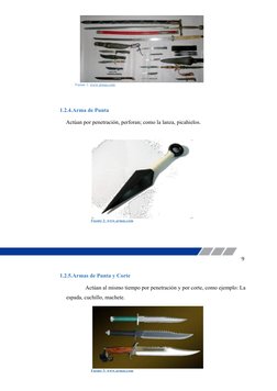 Fuente 1: www.armas.com
1.2.4.Arma de Punta
Actúan por penetración, perforan; como la lanza, picahielos.
Fuente 2: www.a