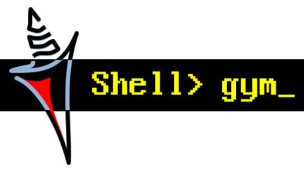 SHELLGym — Building and Breaking Web Apps