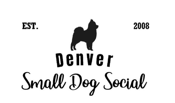 Denver Small Dog Social