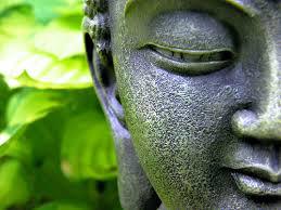 The Zen Rebel Project