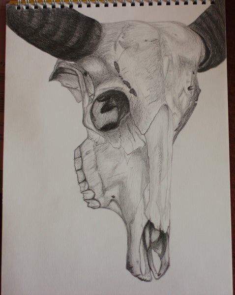 Glasgow Life Drawing and Sketching