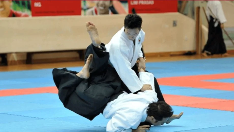 Aikido Group Class (Adults & Teens, All Levels)