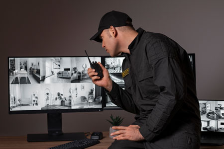 Assisted Living Facilities Security