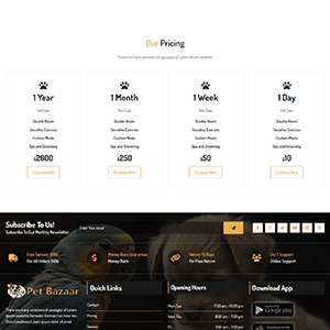 Pricing Page