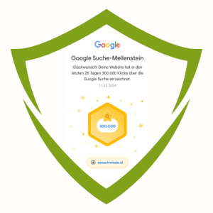 300.000 user google Logo Search Console