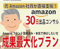 成果最大化プラン・Amazon出品コンサルします Amazonブランド登録済みの方・本気で伸ばしたい方向け