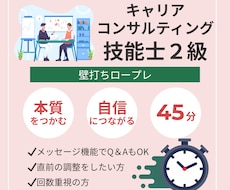 キャリコン2級技能士 壁打ちロープレをご支援します 【45分】第35回向け!お試し/調整用のショート版です!