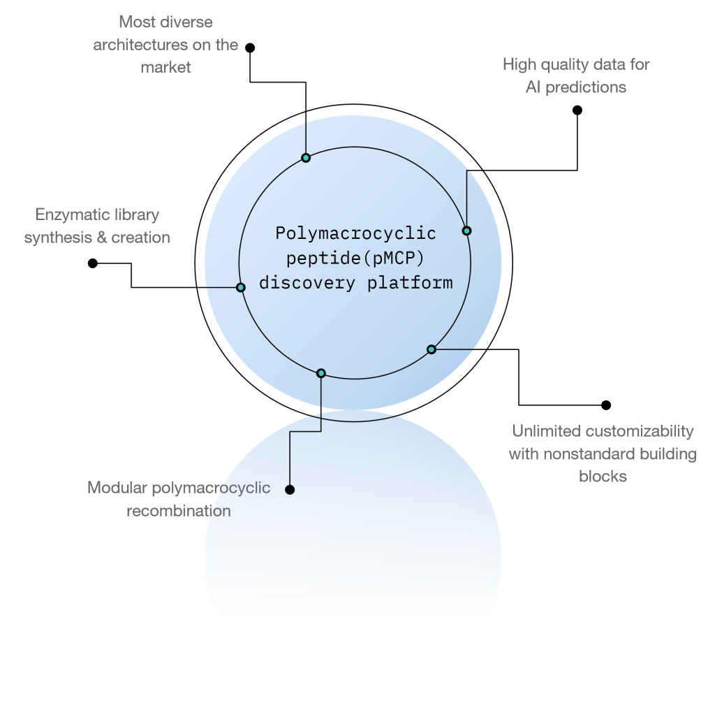 Poly-Macrocyclic-peptide Poly-Macrocyclic-peptide