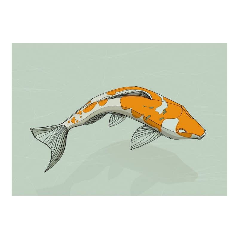 Koi Fish Print