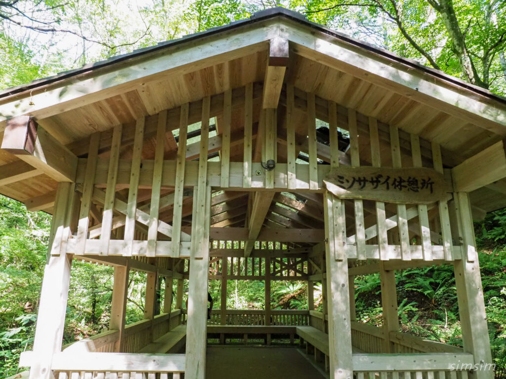 軽井沢野鳥の森