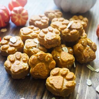 a pile of paw-print shaped dog treats