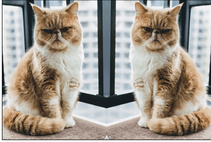 numpy pad reflection