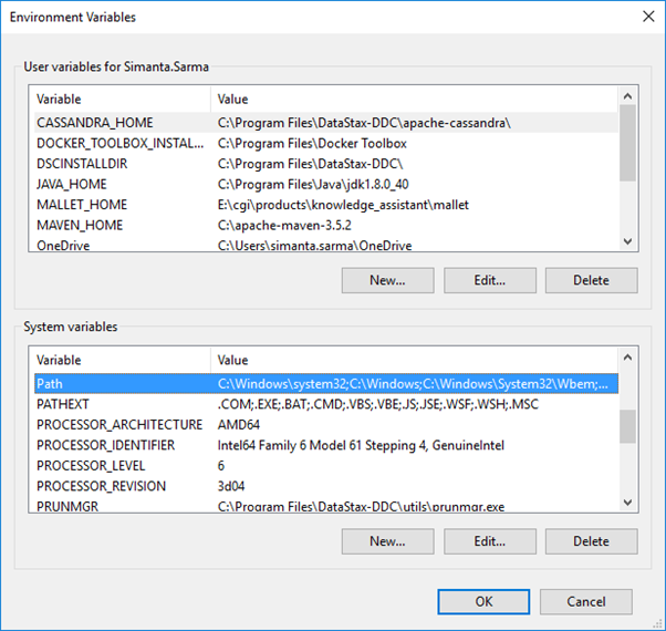 Setting PATH as System Variables