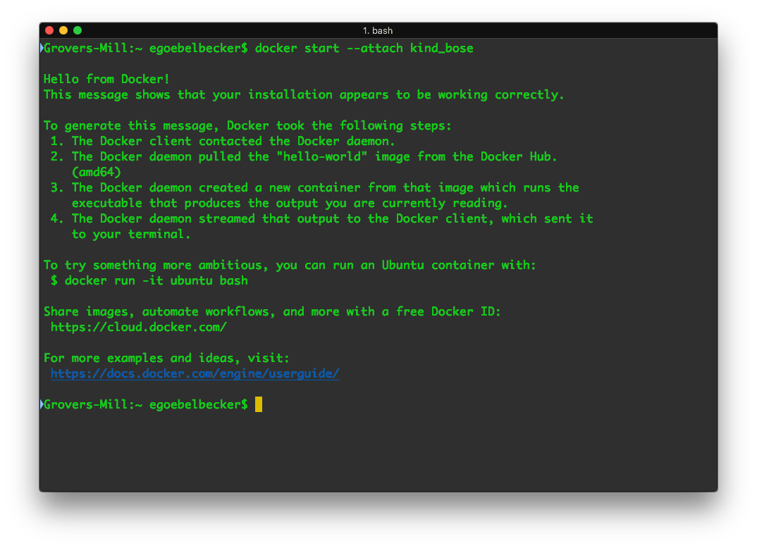Reuse a Docker container ouput of restarting hello world container