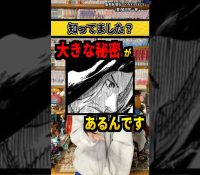 【爆笑】ワンピースの正体、『備蓄米』説wwwwwwwww