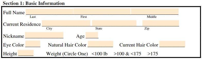 Girlfriend application form basic info