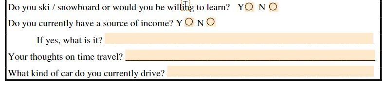 Girlfriend application form car