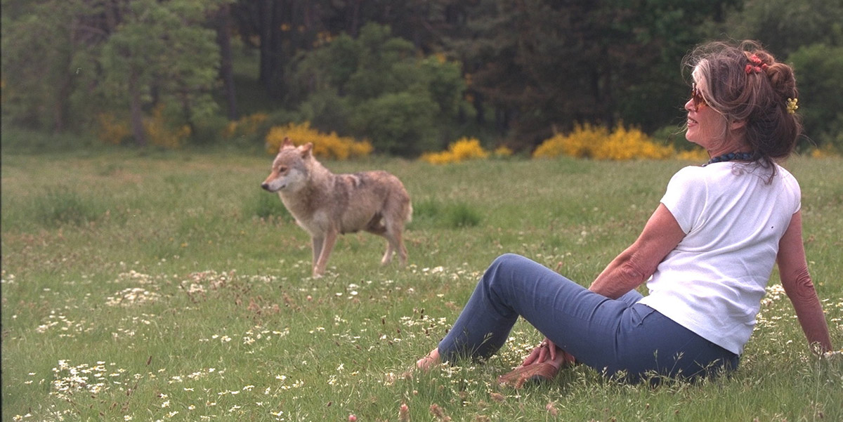 Dagli Appennini a Saint-Tropez