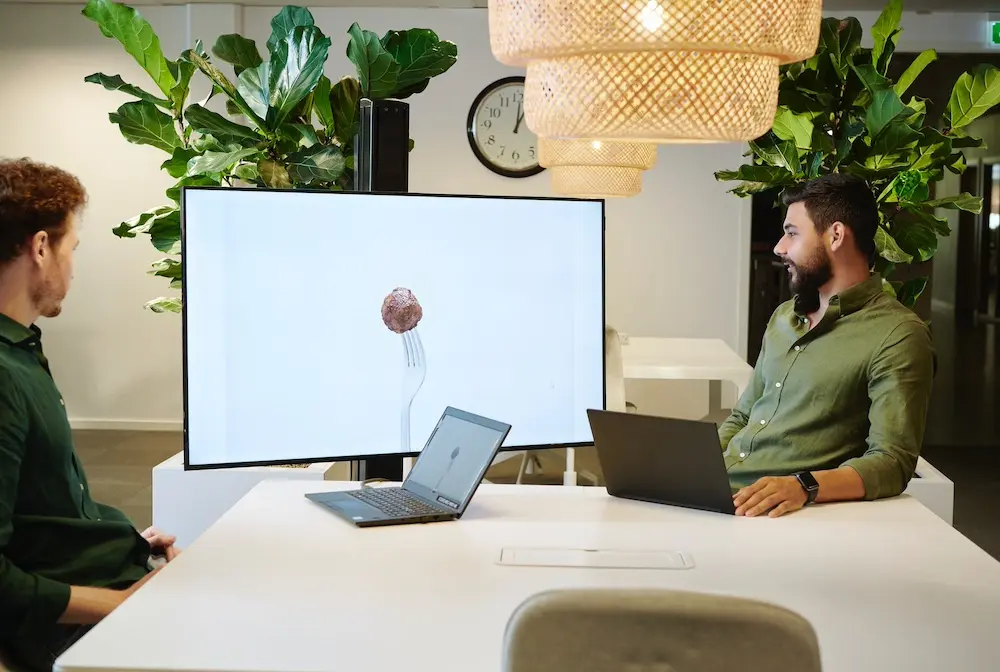 Meatball on a screen