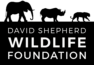 DSWF+LOGO+-+Black