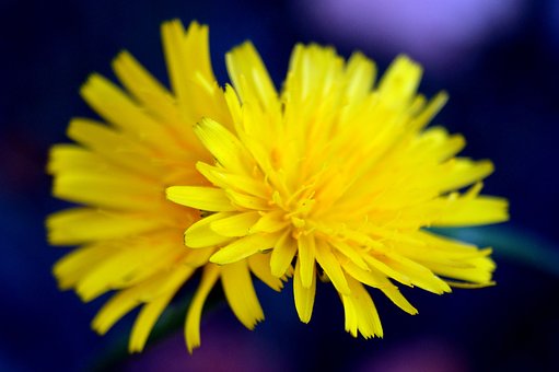 ¶þÄê¼¶ÓïÎĵġ°·ÖË®Á롱Ôõô¹ý£¿×¥×¡ÕâÈýµã£¬Èú¢×Ó´Ó¡°¶ÁÍꡱµ½¡°¶Á͸¡±