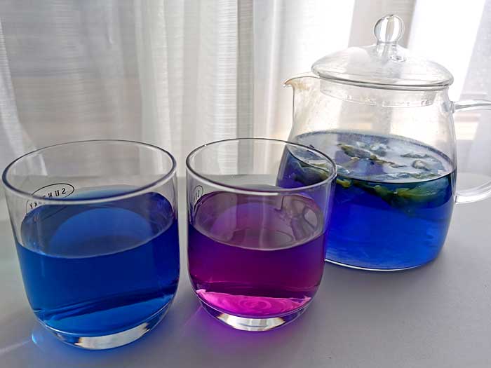 バタフライピー