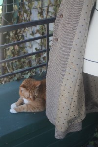 Lining. Support buttons on inside.