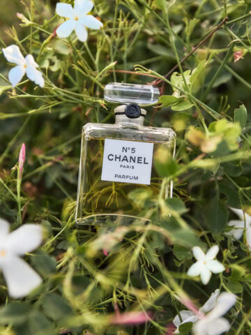 “花からボトルまで”シャネル N°5フレグランスづくりの舞台裏へ。出口夏希さんとJURIN(XG)さんが原点をたずねグラースへ