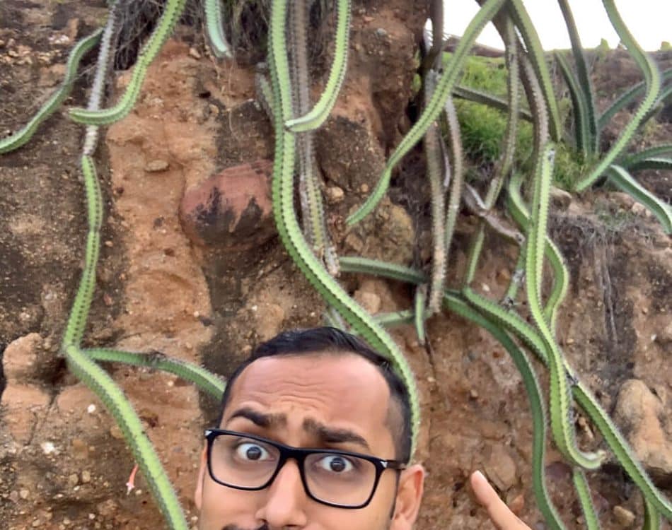 puntamitacactus - Syed Balkhi Crazy Cactus in Punta Mita