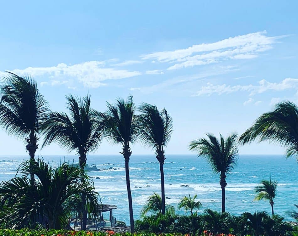 puntamitaview - Syed Balkhi Gorgeous Punta Mita view