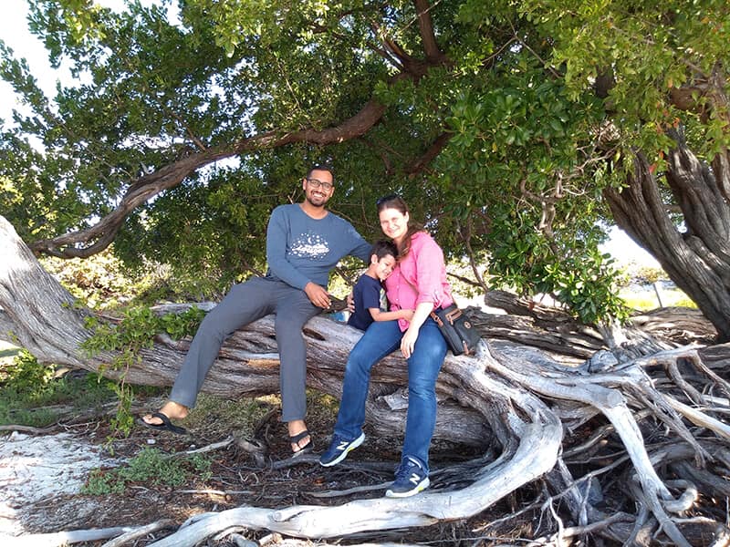 floridakeystreeclimbing - Syed Balkhi Climbing Trees in Florida Keys park