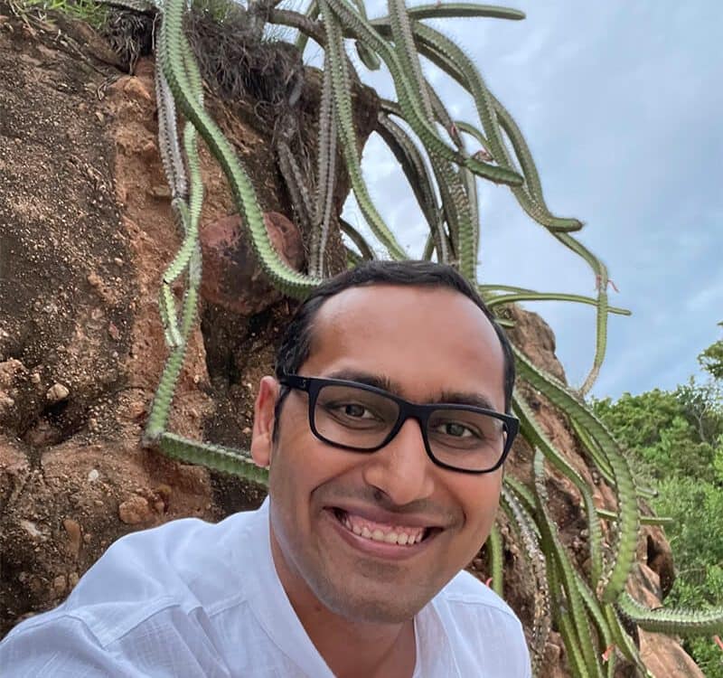 soloshotcactcusbackground - Syed Balkhi Cactus background photo