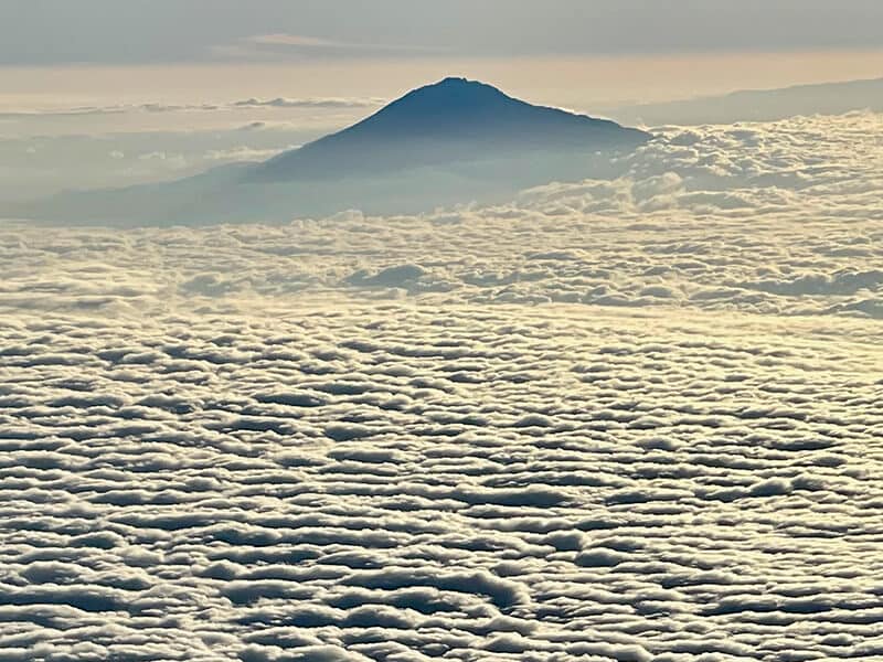 Mt. Kilimanjaro from the Clouds - Syed Balkhi Mt. Kilimanjaro from the Clouds