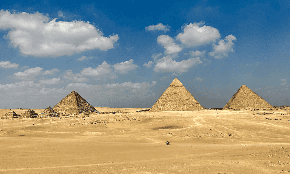 Syed Balkhi Year End Review 2023 - Syed Balkhi Syed Balkhi Year End Review 2023