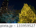 都会の夜に輝く黄金のクリスマスツリー 都会の夜に輝く黄金のクリスマスツリー 133959527