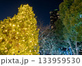 都会の夜に輝く黄金のクリスマスツリー 都会の夜に輝く黄金のクリスマスツリー 133959530