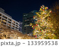 都市公園の巨大クリスマスツリーと夜のイルミネーション 都市公園の巨大クリスマスツリーと夜のイルミネーション 133959538