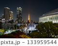 高層ビル群と東京タワーが輝く冬の東京夜景 高層ビル群と東京タワーが輝く冬の東京夜景 133959544