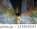 白色ライトに彩られた都心の並木道と東京タワー 白色ライトに彩られた都心の並木道と東京タワー 133959547