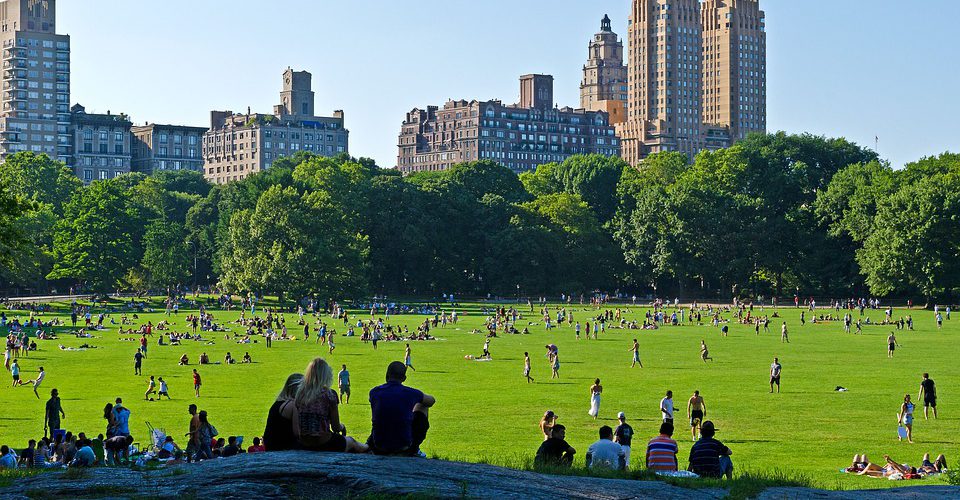 Creating During the Covid-19 Pandemic: A Reflection from the Marymount School of New York on a walkSTEM Service Learning project in AP Physics