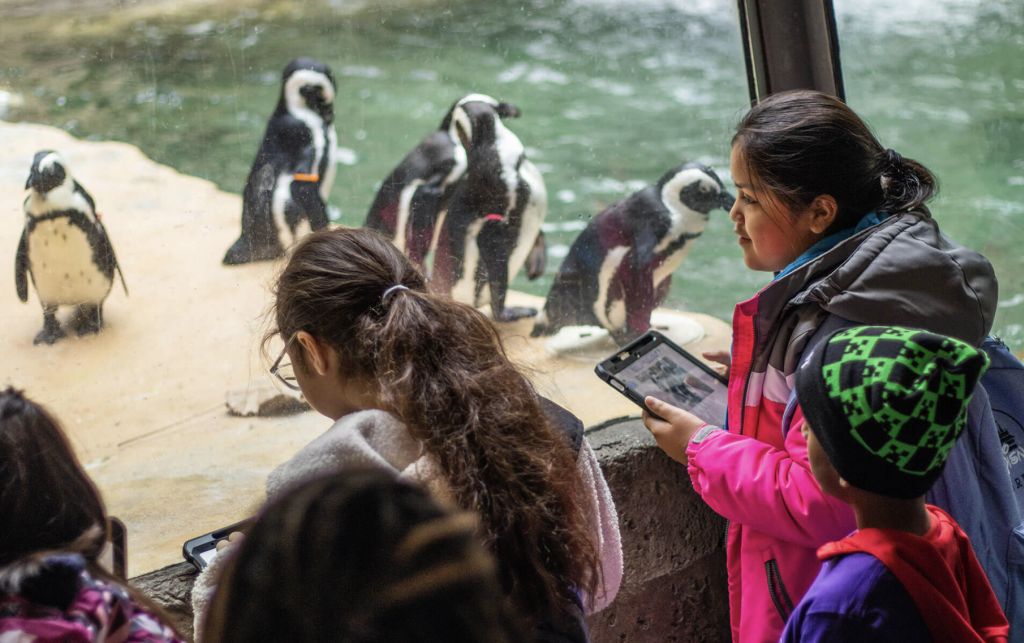 Dallas Teachers Test AI-Powered Tools to Spark STEM Engagement