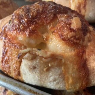 デューカ ディ カマストラ_1