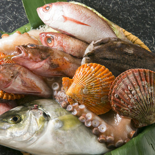 さかなやさんの居酒屋 北島商店酒場_0