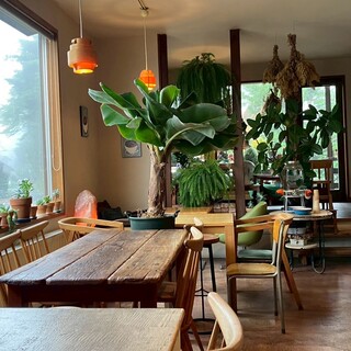 ナチュラル カフェイーナ_2