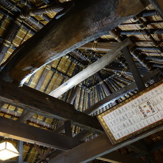 ざいごうどん 本家 わら家_2