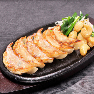 宇都宮餃子館_1