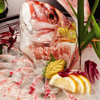 釣船茶屋ざうお_0