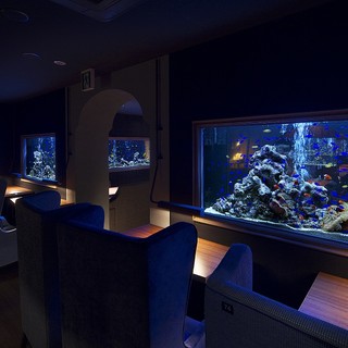 アクアリウムイタリアン心斎橋ライム_2